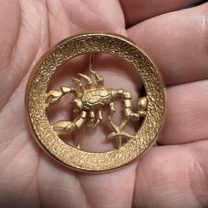Vintage Park Lane Scorpio 🦂 Zodiac Brooch (108 - 1650)
